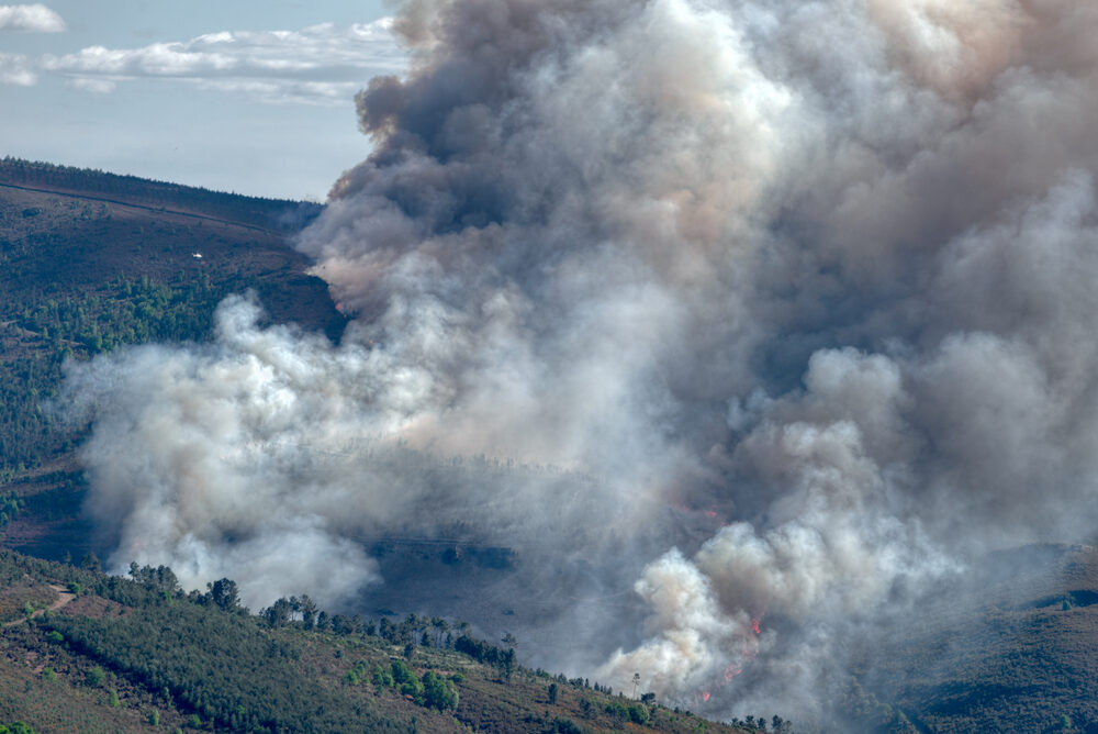 Incendi in Spagna e Francia