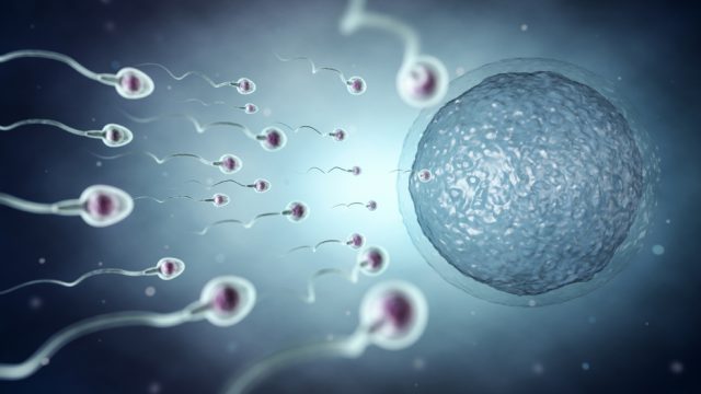 Studio sulla fertilità maschile e inquinamento atmosferico
