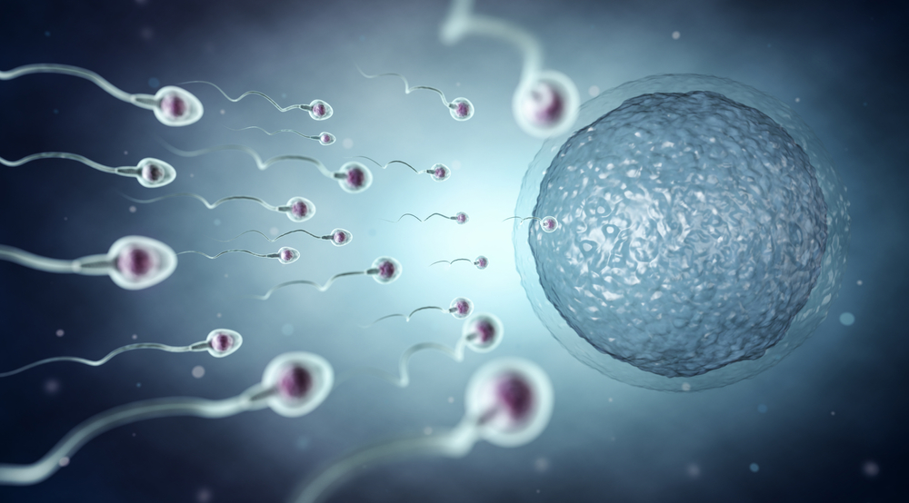 Studio sulla fertilità maschile e inquinamento atmosferico