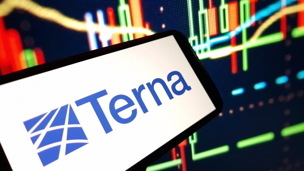Terna investimenti e crescita