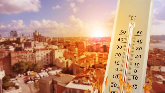 Riforestazione urbana per ridurre le isole di calore