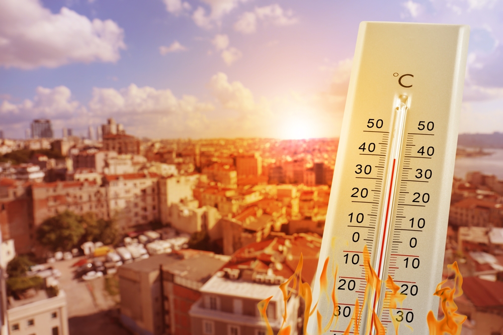 Riforestazione urbana per ridurre le isole di calore