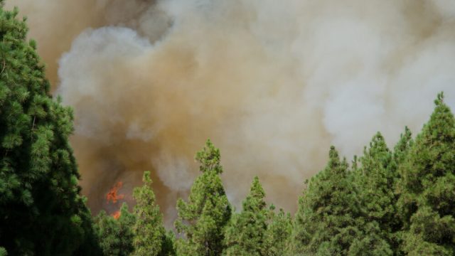 Incendi nella Gironda, Francia