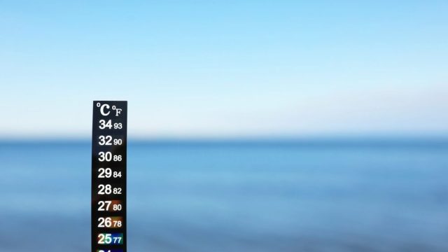 Temperatura media del mare record