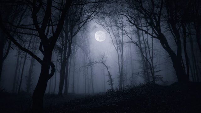 Silent Hill: Townfall, videogioco horror in prima persona