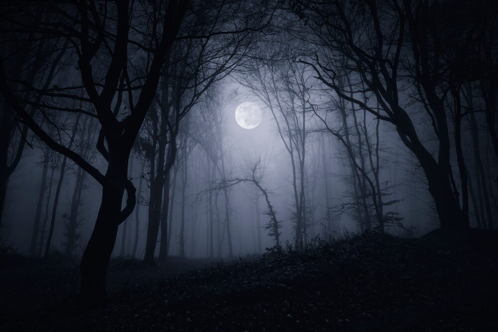 Silent Hill: Townfall, videogioco horror in prima persona