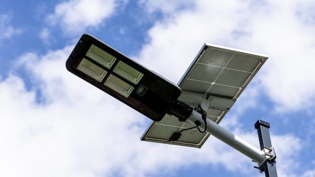 Ortaggi a foglia coltivati con luce ottimale