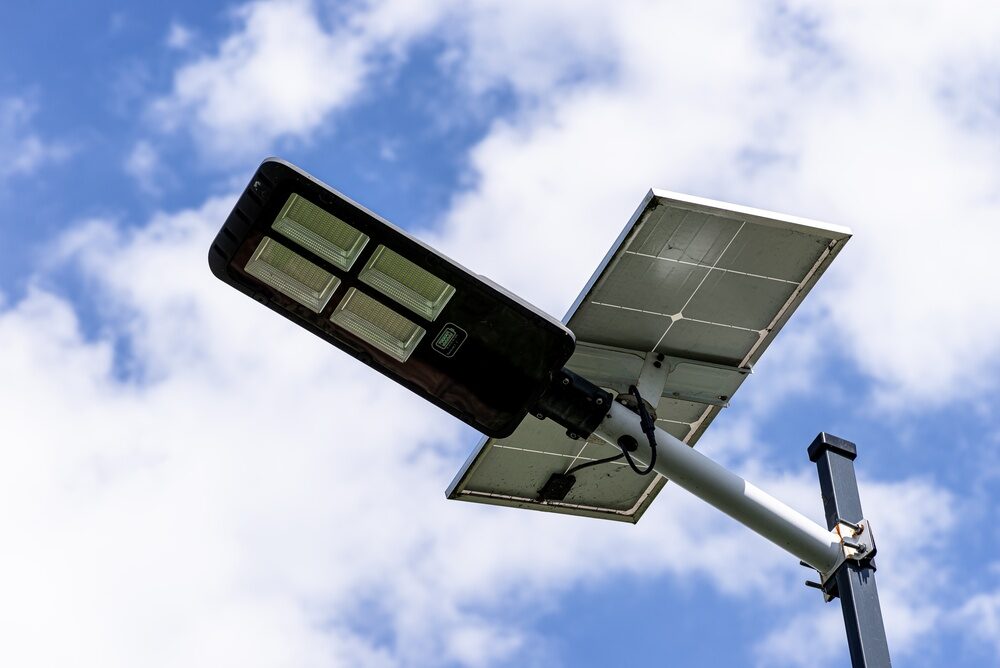 Ortaggi a foglia coltivati con luce ottimale